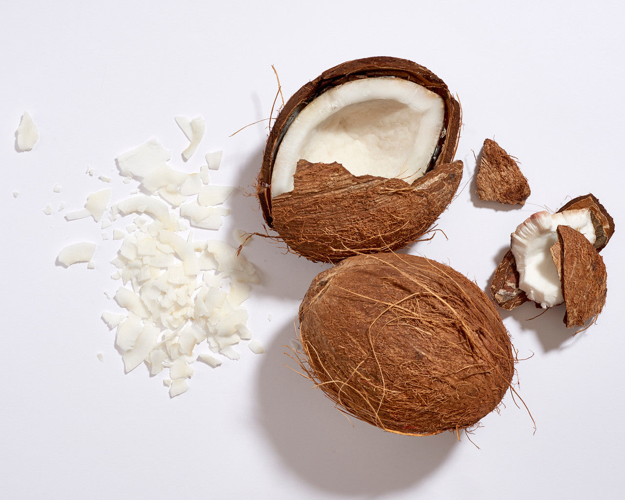 Everyday Coconut Night Face Cream (1x12 OZ)-8