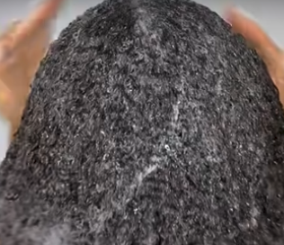 Mielle Sea Moss Anti-Shedding  Shampoo 236ml-2