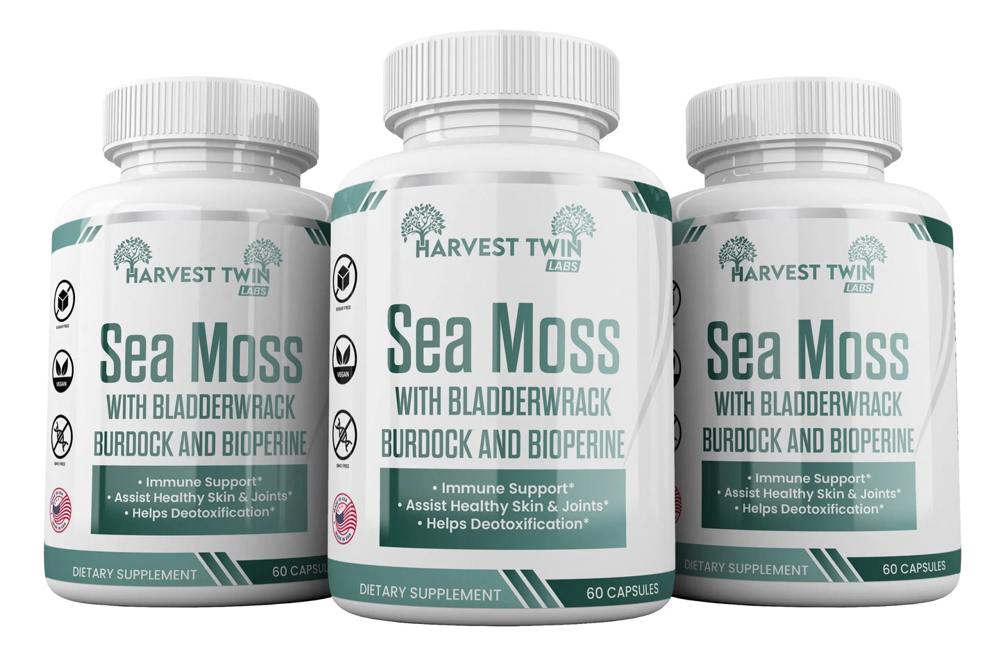 Sea Moss-3