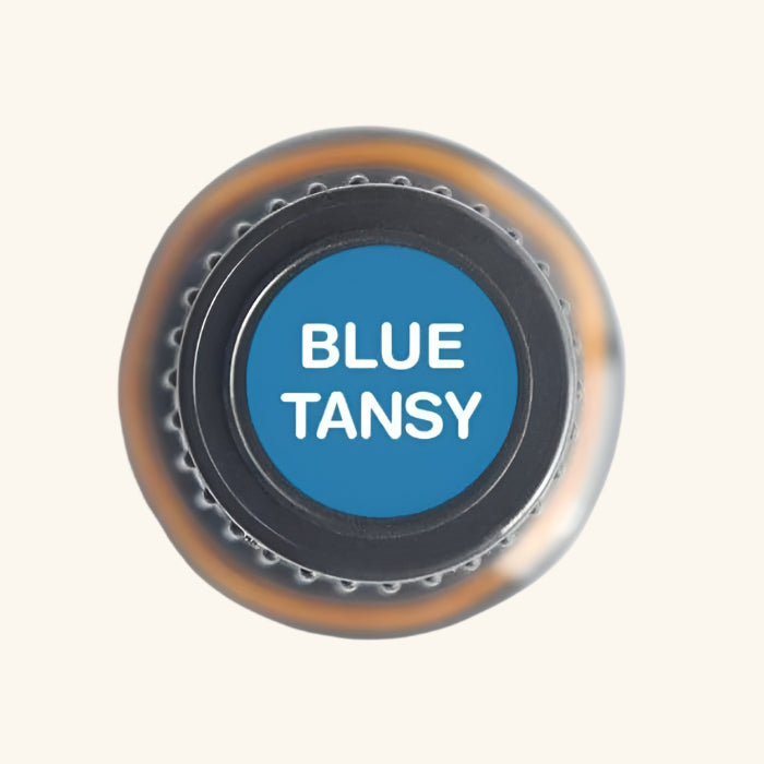 Blue Tansy Pure Essential Oil - 5ml-1