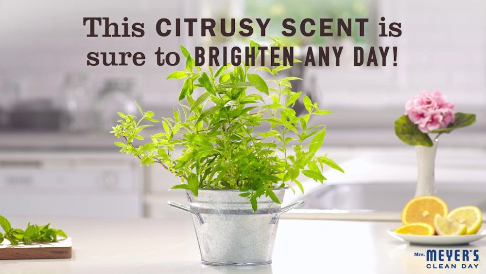 Meyers Lemon Verbena Liquid Hand Soap (6x12.5 Oz)-1