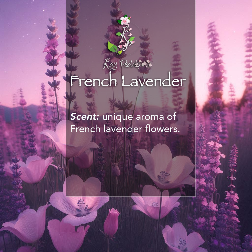 French Lavender Body Lotion | Organic Body Cream |Shea Butter Lotion |  Almond Body Lotion | Fragrance Lotion-1